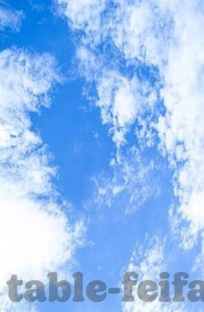 大连足球比分表-大连足球比分表，历史荣光与未来展望的数字见证